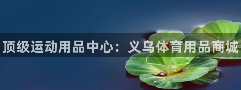 欧陆娱乐官网下载安装手机版:顶级运动用品中心:义乌体育用品商