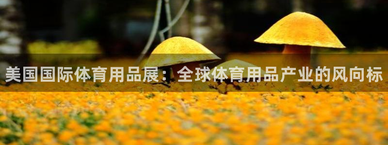 欧陆娱乐平台总代理:美国国际体育用品展:全球体育用品产业的风